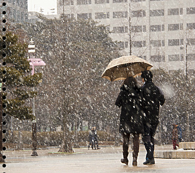 김정숙 사진.jpg