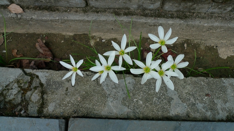 HS-20121008-159.JPG