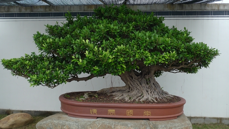 HS-20121008-164.JPG