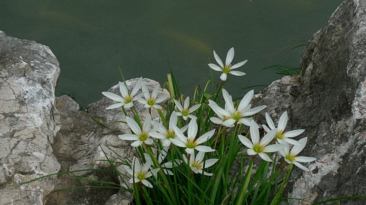 HS-20121008-172.JPG