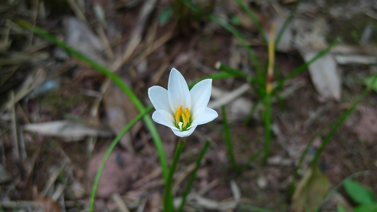 HS-20121008-221.JPG