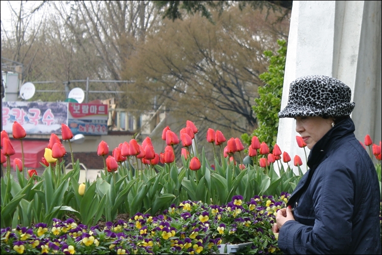 iicc-20130425-441.JPG