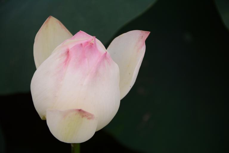 DSC_1073.JPG