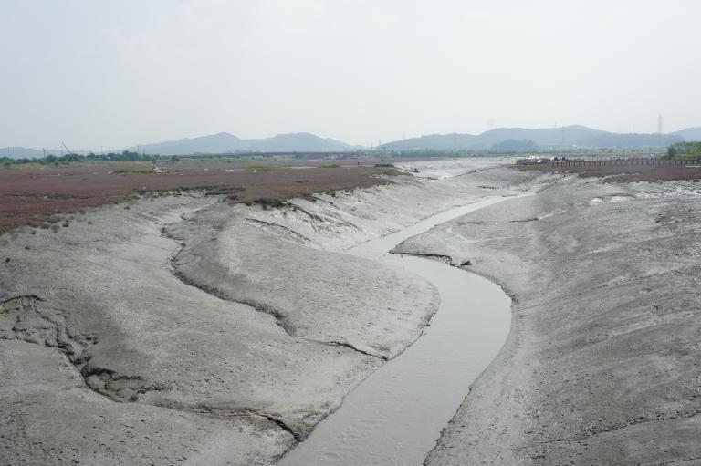 DSC05982.JPG