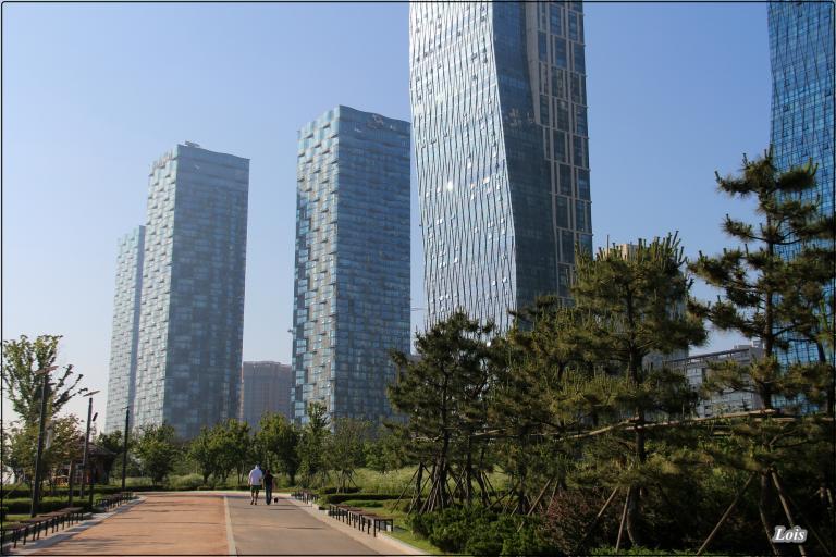 1402784167.jpg