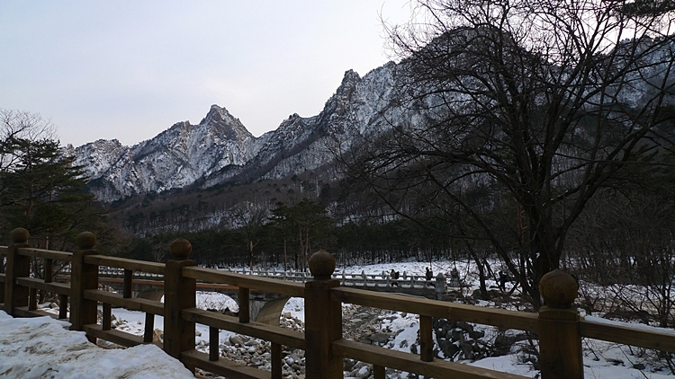 20120128-05.JPG