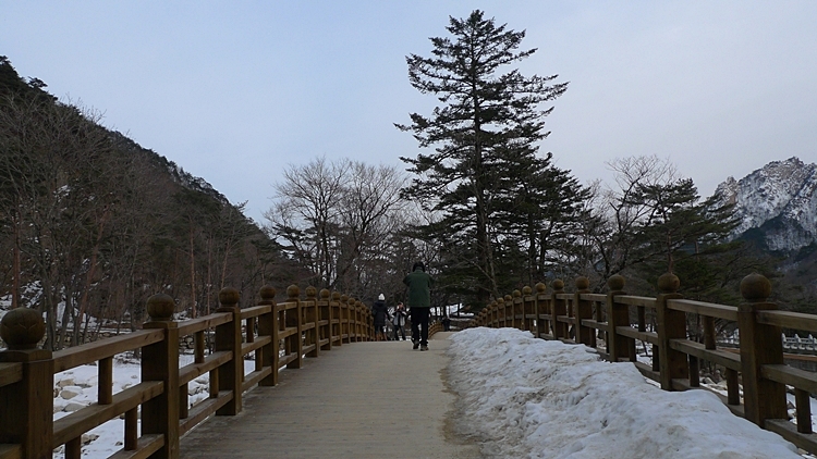 20120128-12.JPG
