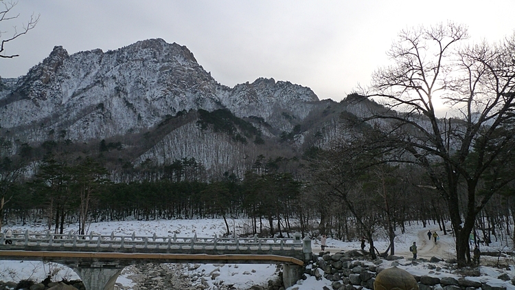 20120128-13.JPG