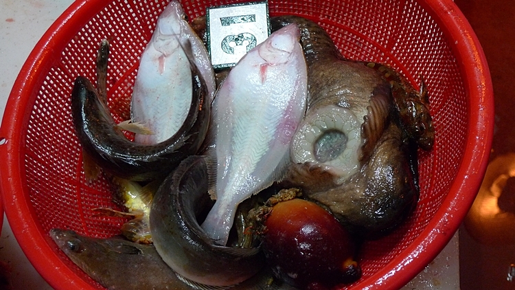 20120128-41.JPG