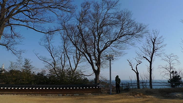 20120129-42.JPG