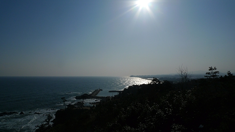 20120129-46.JPG