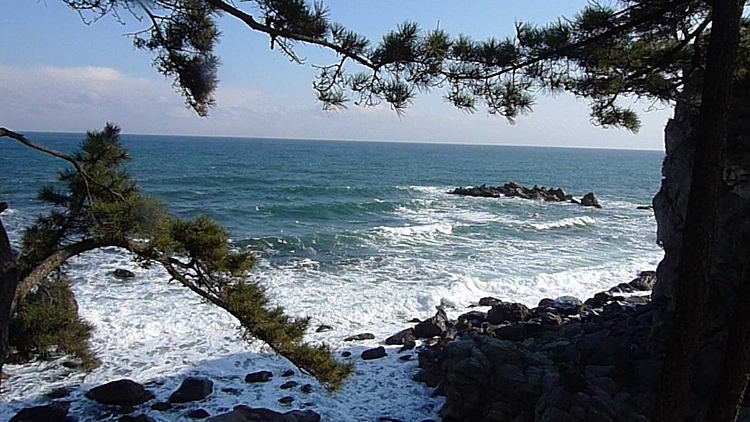 20120129-55.JPG