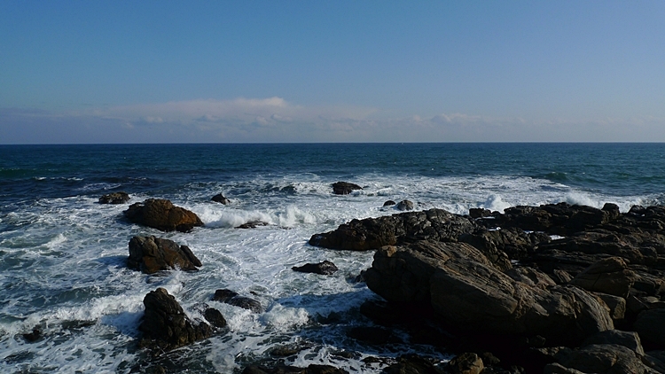20120129-57.JPG