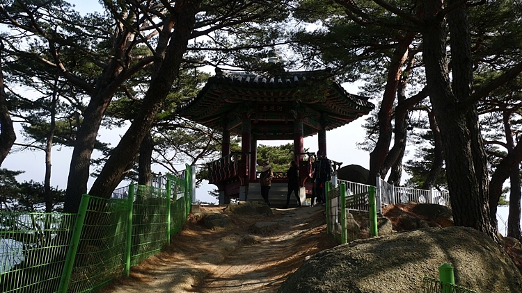 20120129-80.JPG