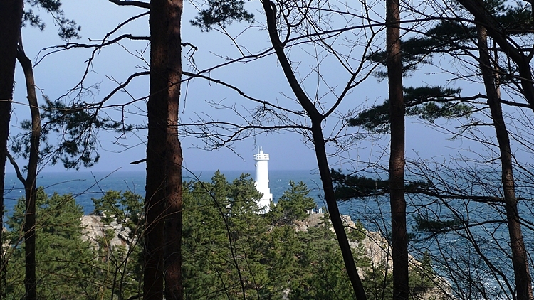 20120129-85.JPG
