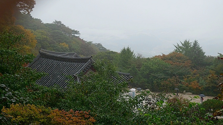 kj-20101024-13.JPG