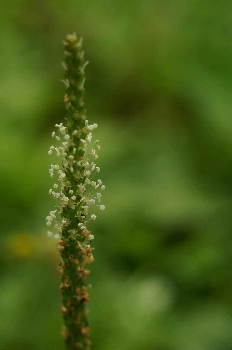 DSC06896-1.JPG