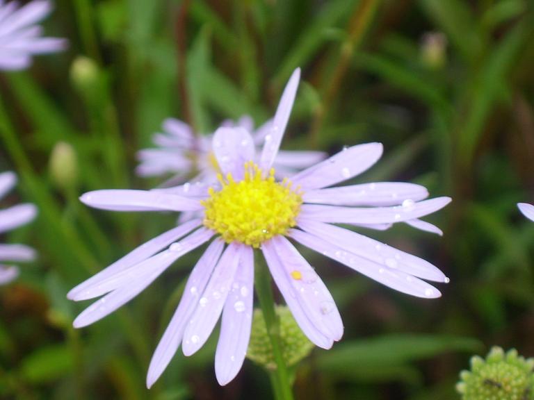 SV108195.JPG