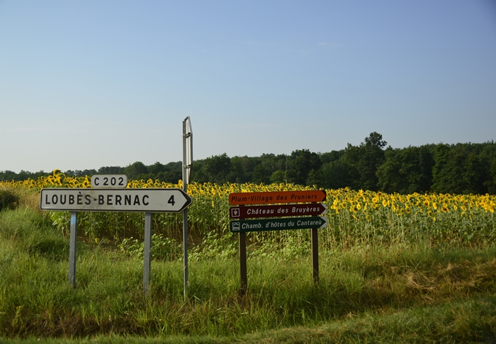 _DSC1072-crop.JPG