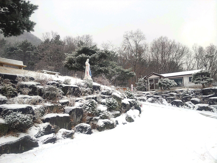KakaoTalk_44e8b625972d7f3b.jpg