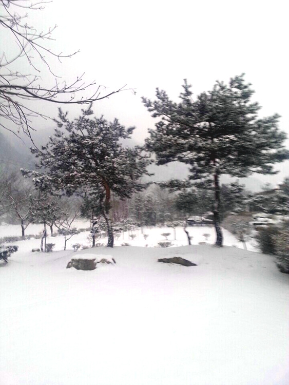 KakaoTalk_585573abd4e71af7.jpg