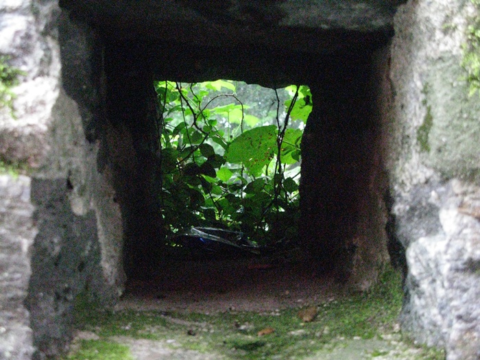 IMG_8876.JPG