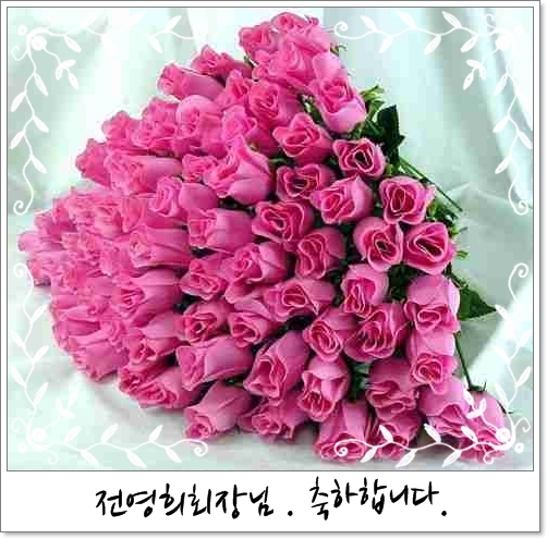 100roses.jpg