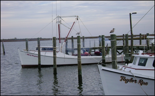 b-DSC01873.JPG
