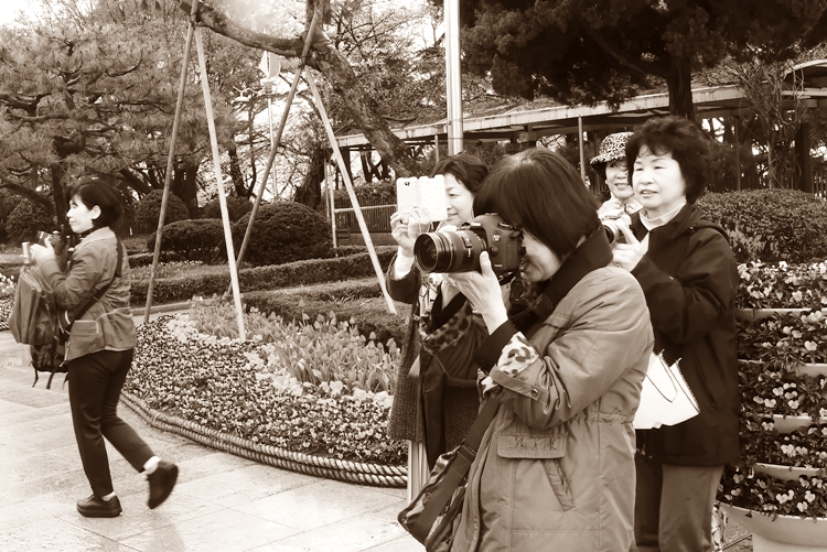 P1030295.JPG