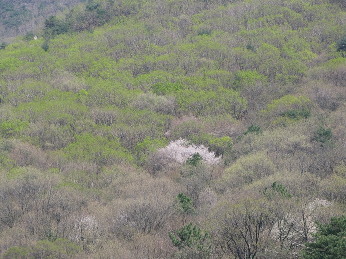 IMG_7519.JPG