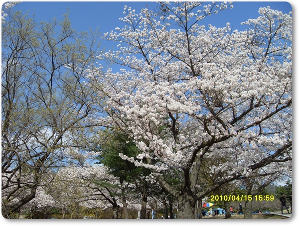SDC10849.JPG