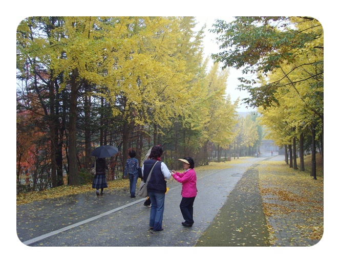 SNV38259.JPG