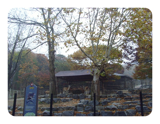 SNV38266.JPG