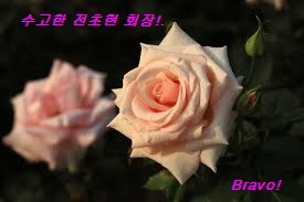 images9GRYU4YN.jpg