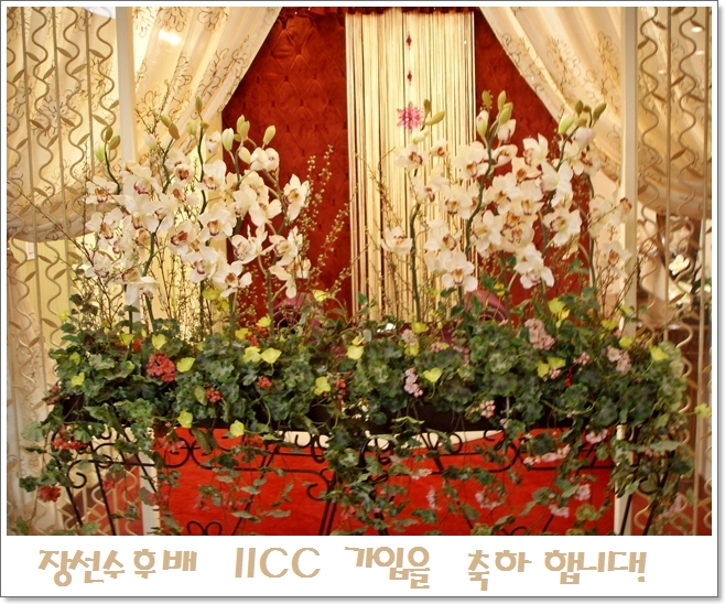 SSL10020.JPG