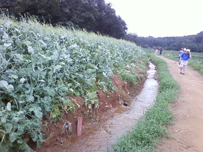 사진090718_4.jpg 사진090718_4.jpg
