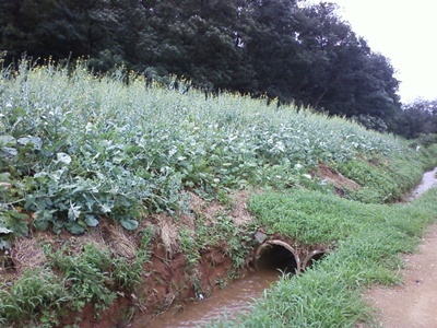 사진090718_5.jpg 사진090718_5.jpg