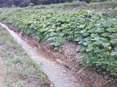 사진090718_7.jpg 사진090718_7.jpg