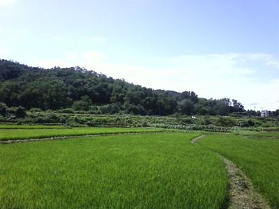 사진090725_14.jpg 사진090725_14.jpg