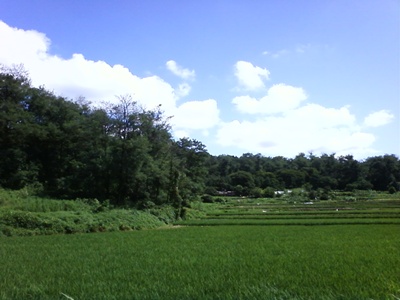 사진090725_15.jpg 사진090725_15.jpg