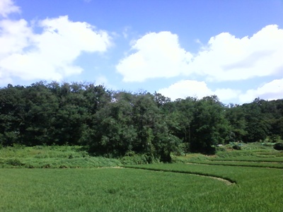 사진090725_19.jpg 사진090725_19.jpg