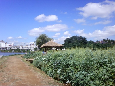 사진090725_2.jpg 사진090725_2.jpg