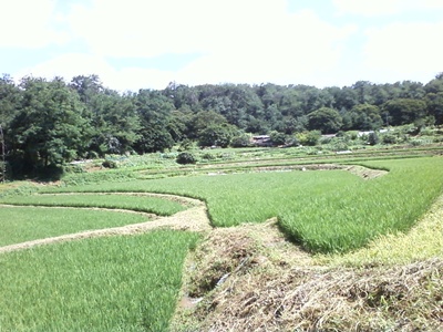 사진090725_20.jpg 사진090725_20.jpg