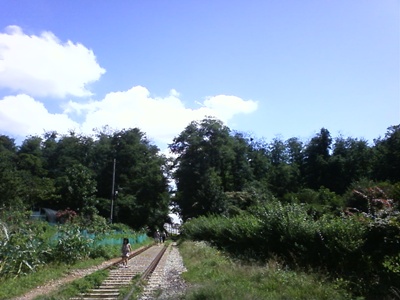 사진090725_24.jpg 사진090725_24.jpg