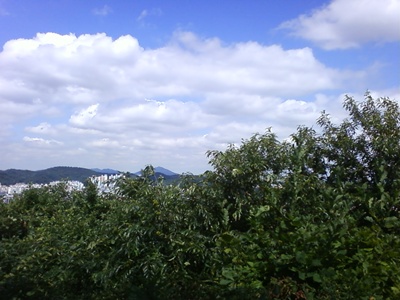 사진090725_32.jpg 사진090725_32.jpg