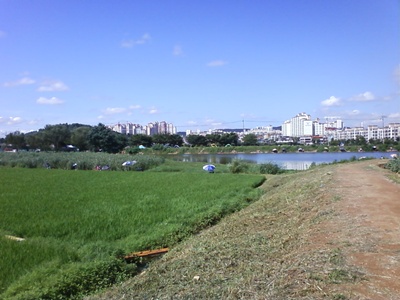 사진090725_4.jpg 사진090725_4.jpg
