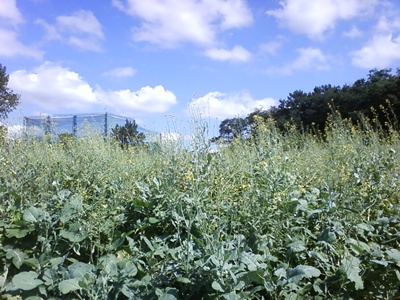 사진090725_5.jpg 사진090725_5.jpg