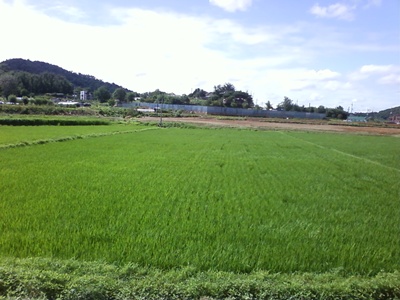 사진090725_7.jpg 사진090725_7.jpg