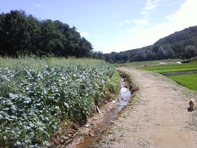 사진090725_8.jpg 사진090725_8.jpg