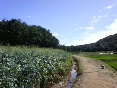 사진090725_9.jpg 사진090725_9.jpg